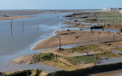 Université territoriale 2024 de l’IHEST sur les risques côtiers en Nouvelle-Aquitaine