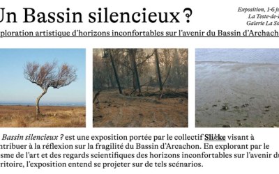 RIVAGES et l&rsquo;exposition « Un bassin silencieux? »